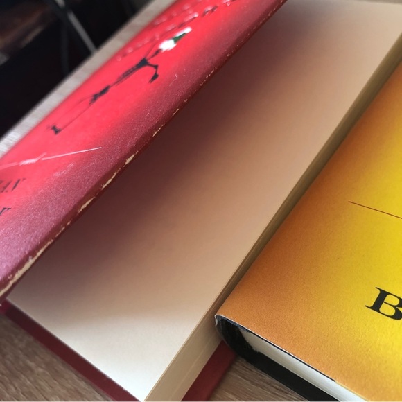 ALAN BRADLEY Novel Set of 3 - Picture 8 of 9